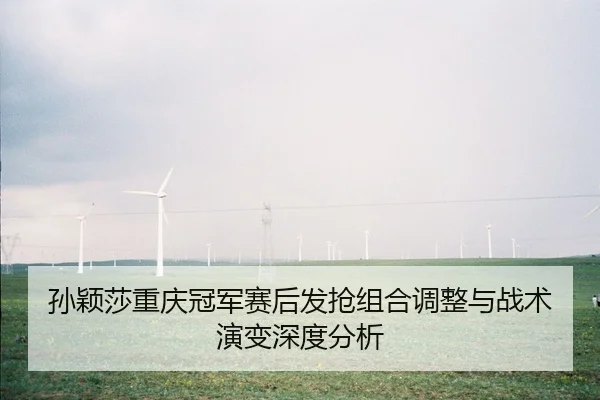 孙颖莎重庆冠军赛后发抢组合调整与战术演变深度分析